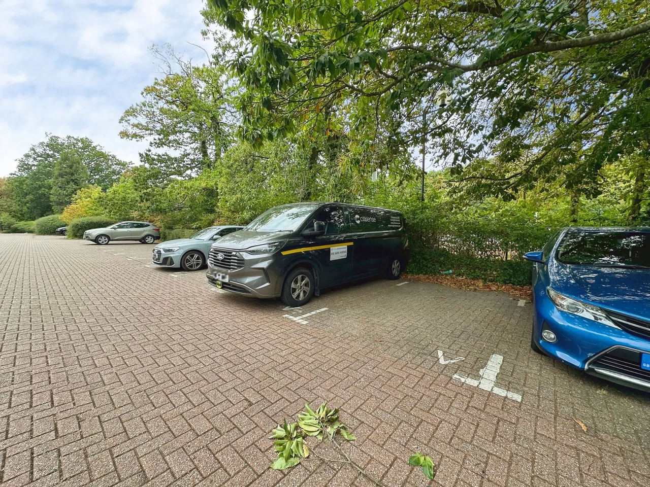 Opladen Way, Bracknell, Berkshire, RG12 0AB, photo 15