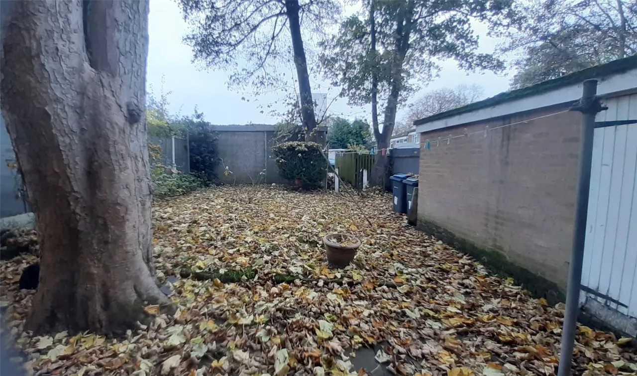 Dollery Drive, Birmingham, B5, photo 12