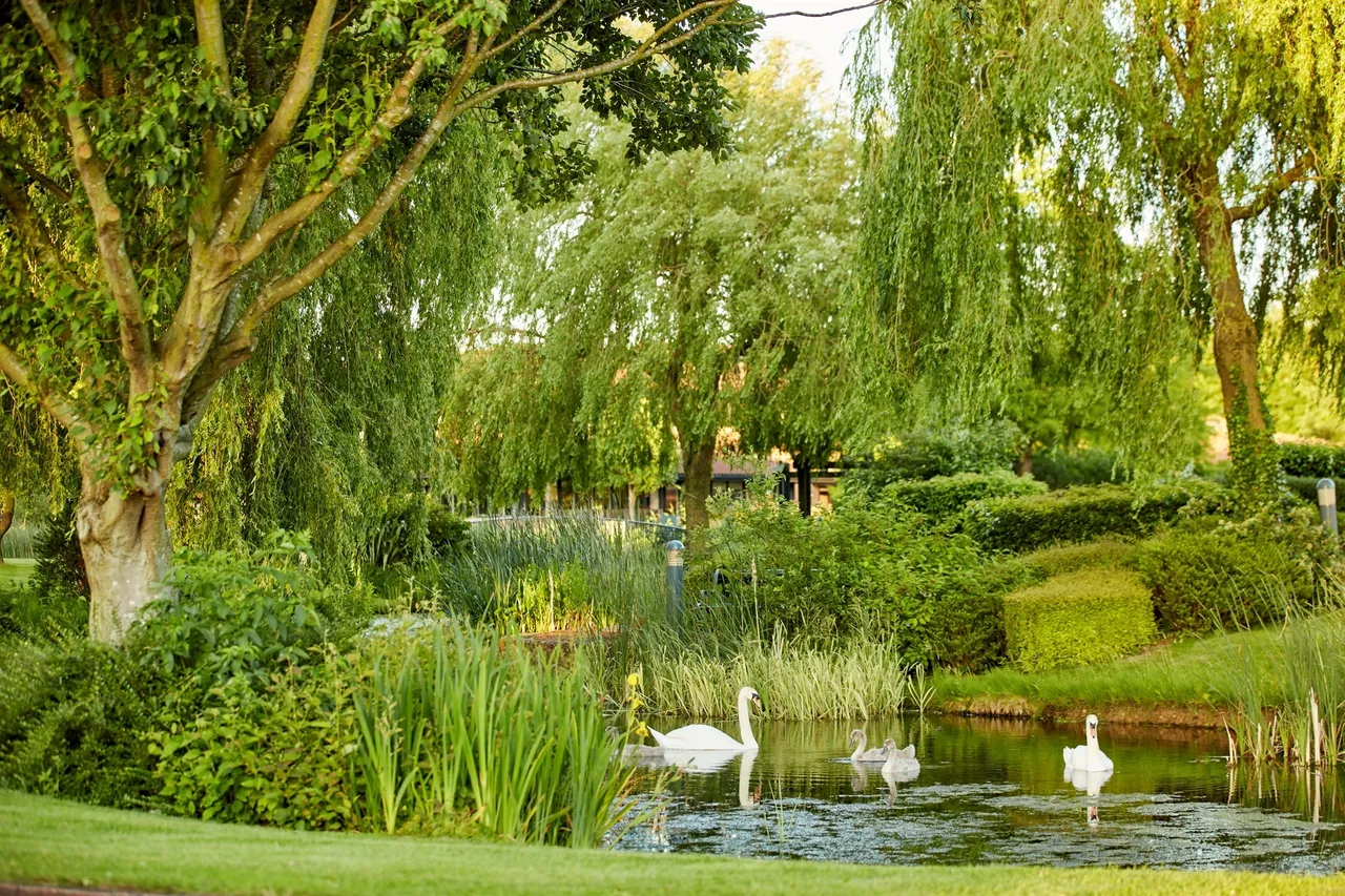 Caldecotte Lake Drive, Caldecotte, MK7, photo 5