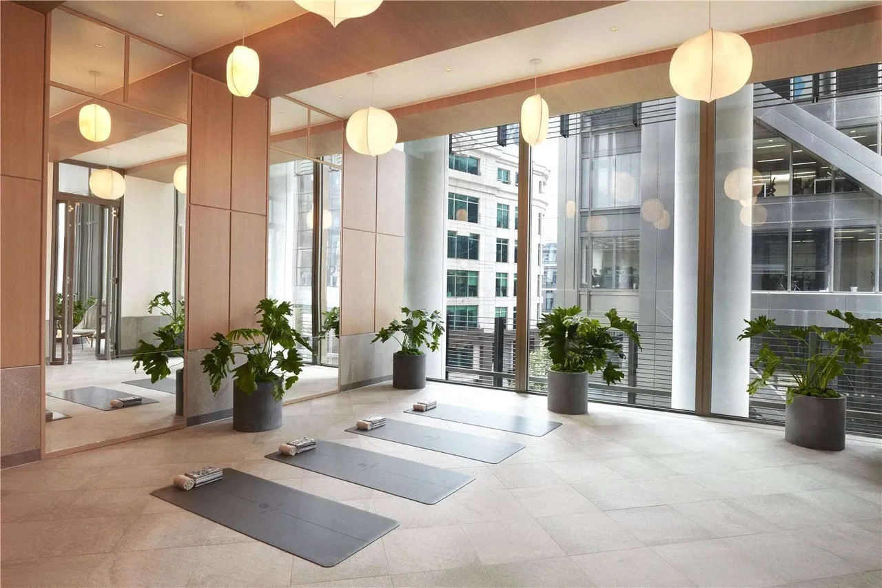 One Bishopsgate Plaza, 80 Houndsditch, London, EC3A 7AB, photo 12
