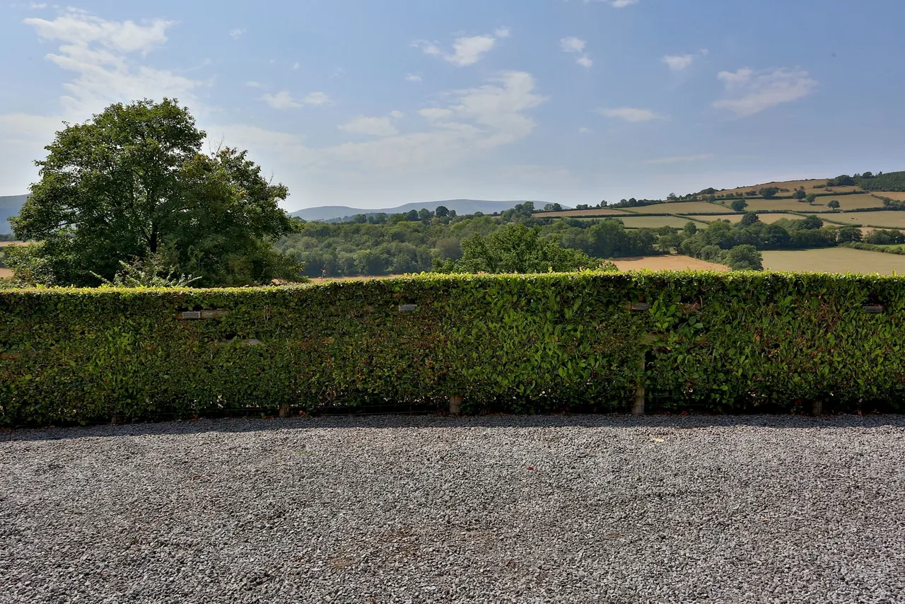 Pendre Courtyard, Cathedine, LD3, photo 26
