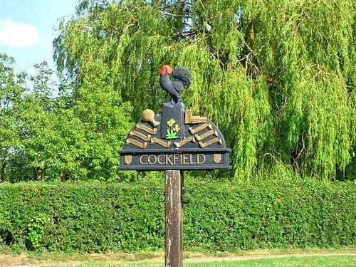 Millers Close, Cockfield, IP30, photo 4