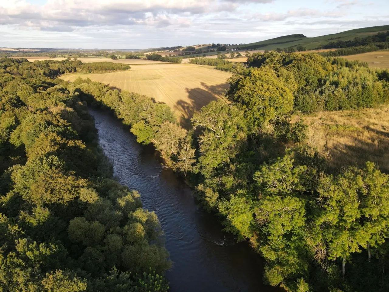River South Esk, Finavon, Angus, DD8 3RH, photo 7