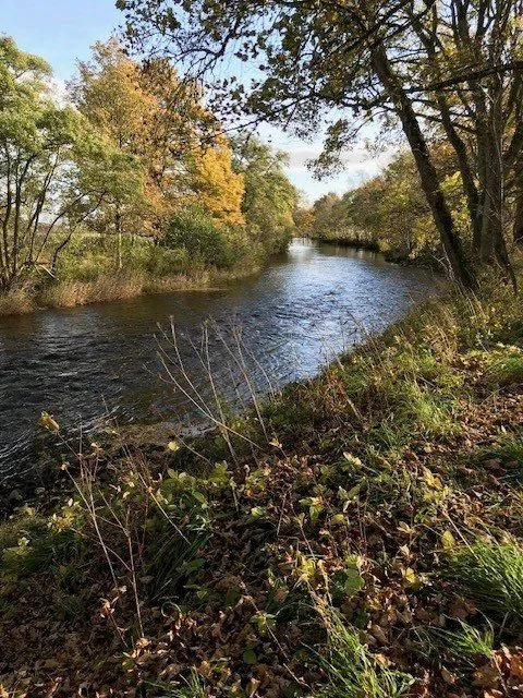 River South Esk, Finavon, Angus, DD8 3RH, photo 4