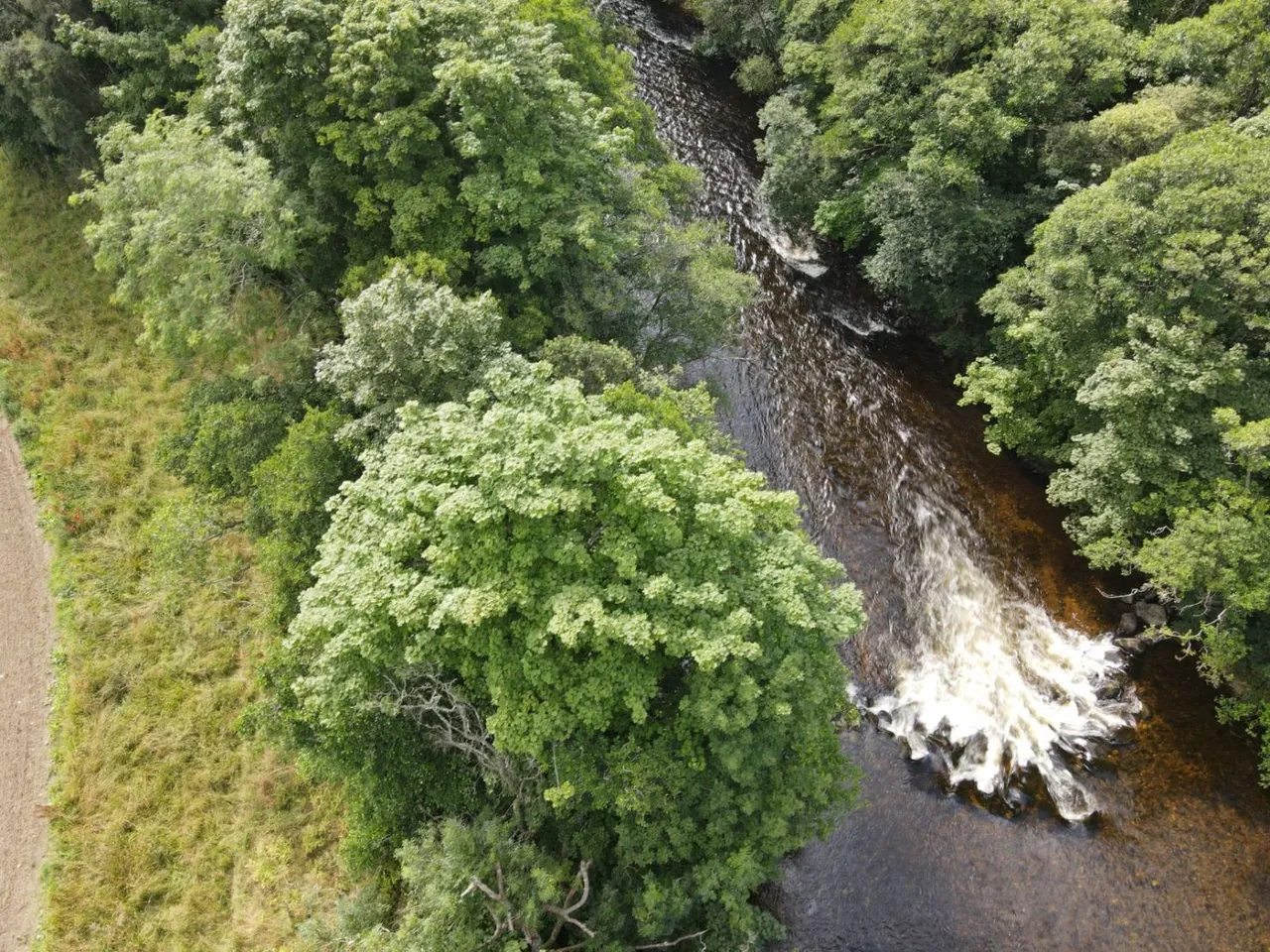 River South Esk, Finavon, Angus, DD8 3RH, photo 2