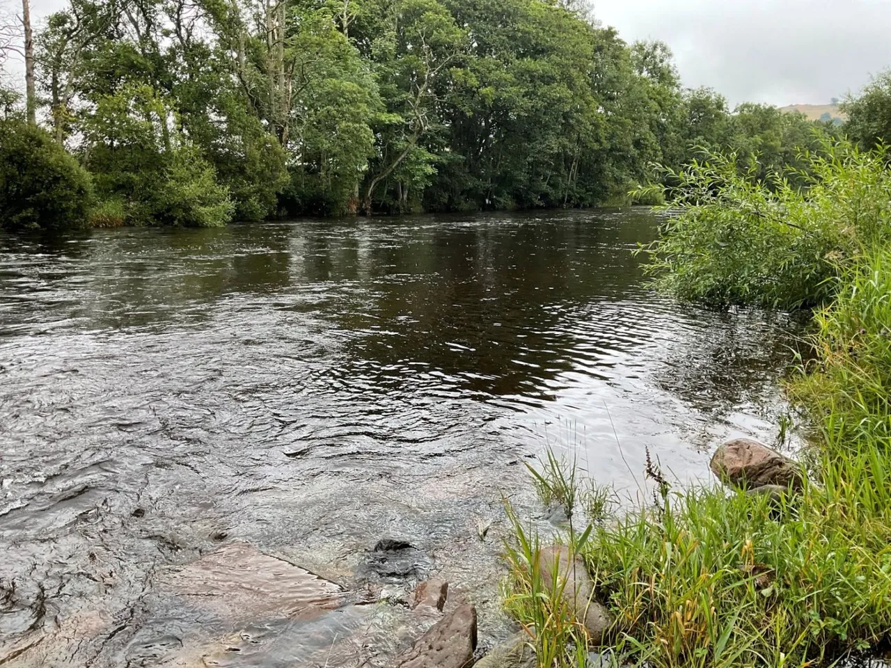 River South Esk, Finavon, Angus, DD8 3RH, photo 8
