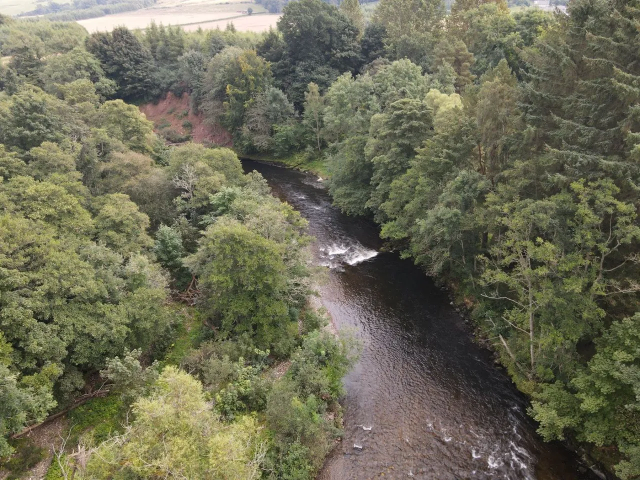 River South Esk, Finavon, Angus, DD8 3RH, photo 5