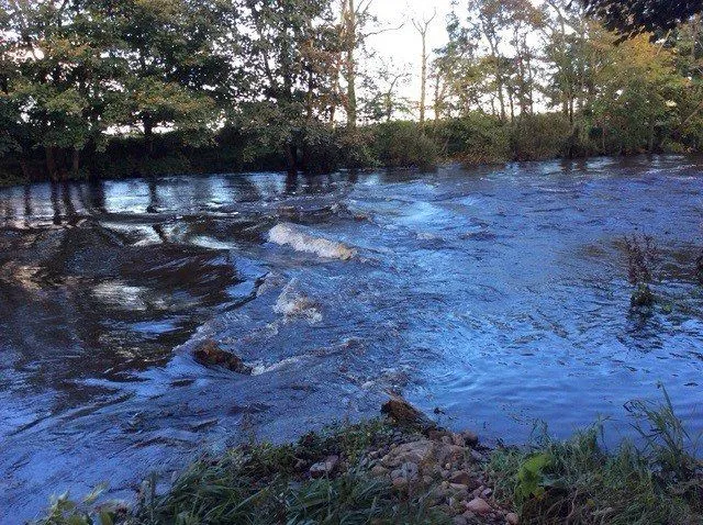 River South Esk, Finavon, Angus, DD8 3RH, photo 3