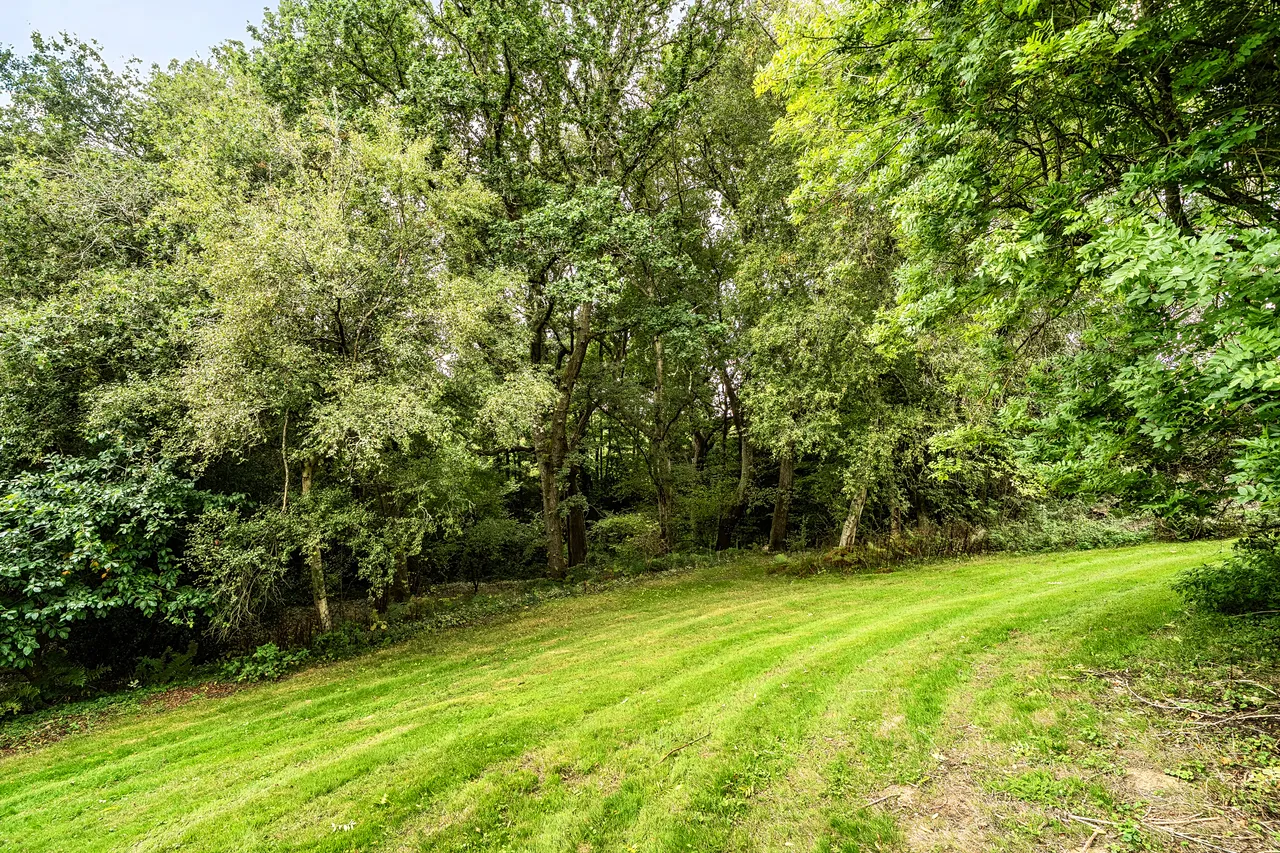 The Warren, Mayfield, TN20, photo 17