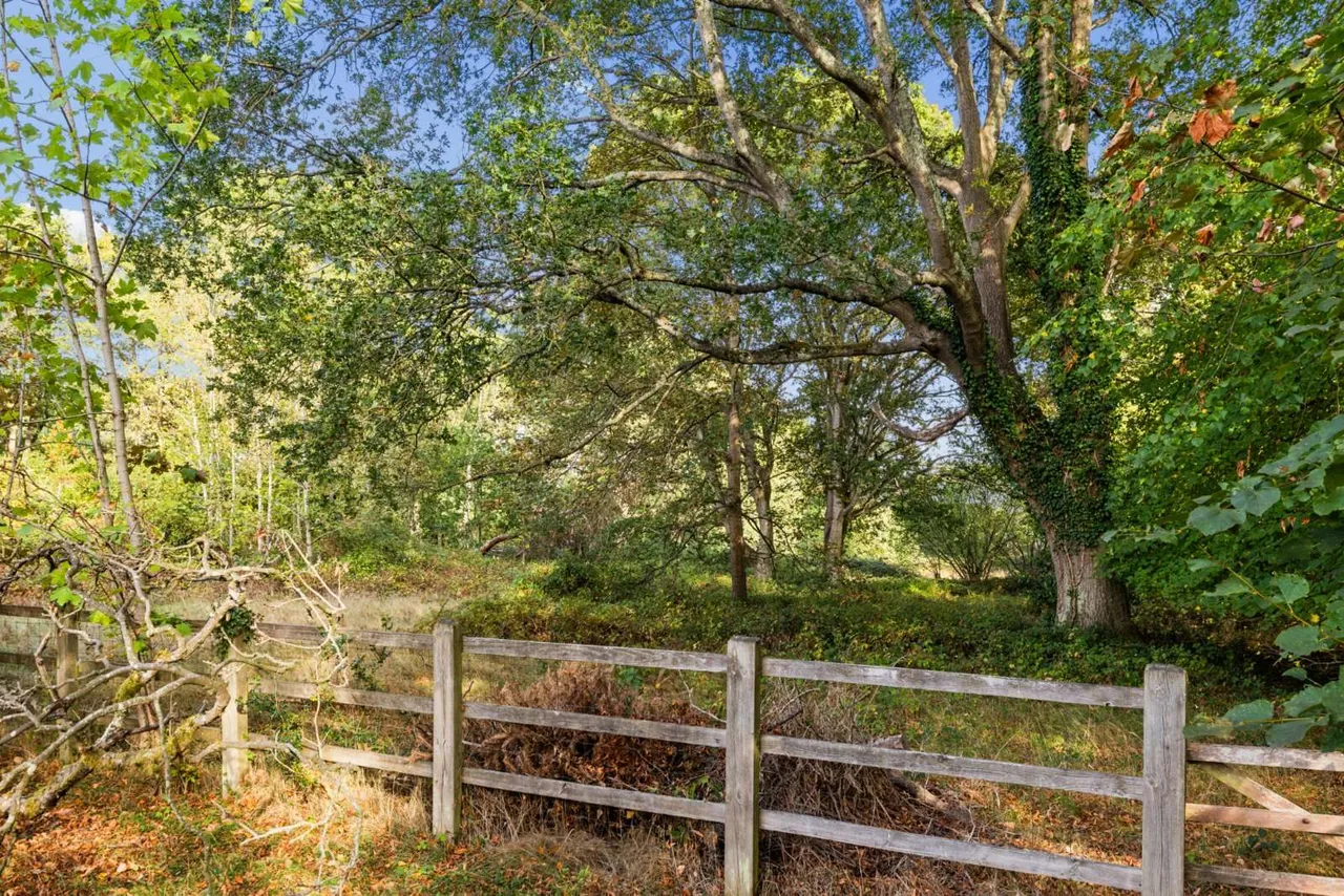 Orchard Hill, Windlesham, GU20, photo 11