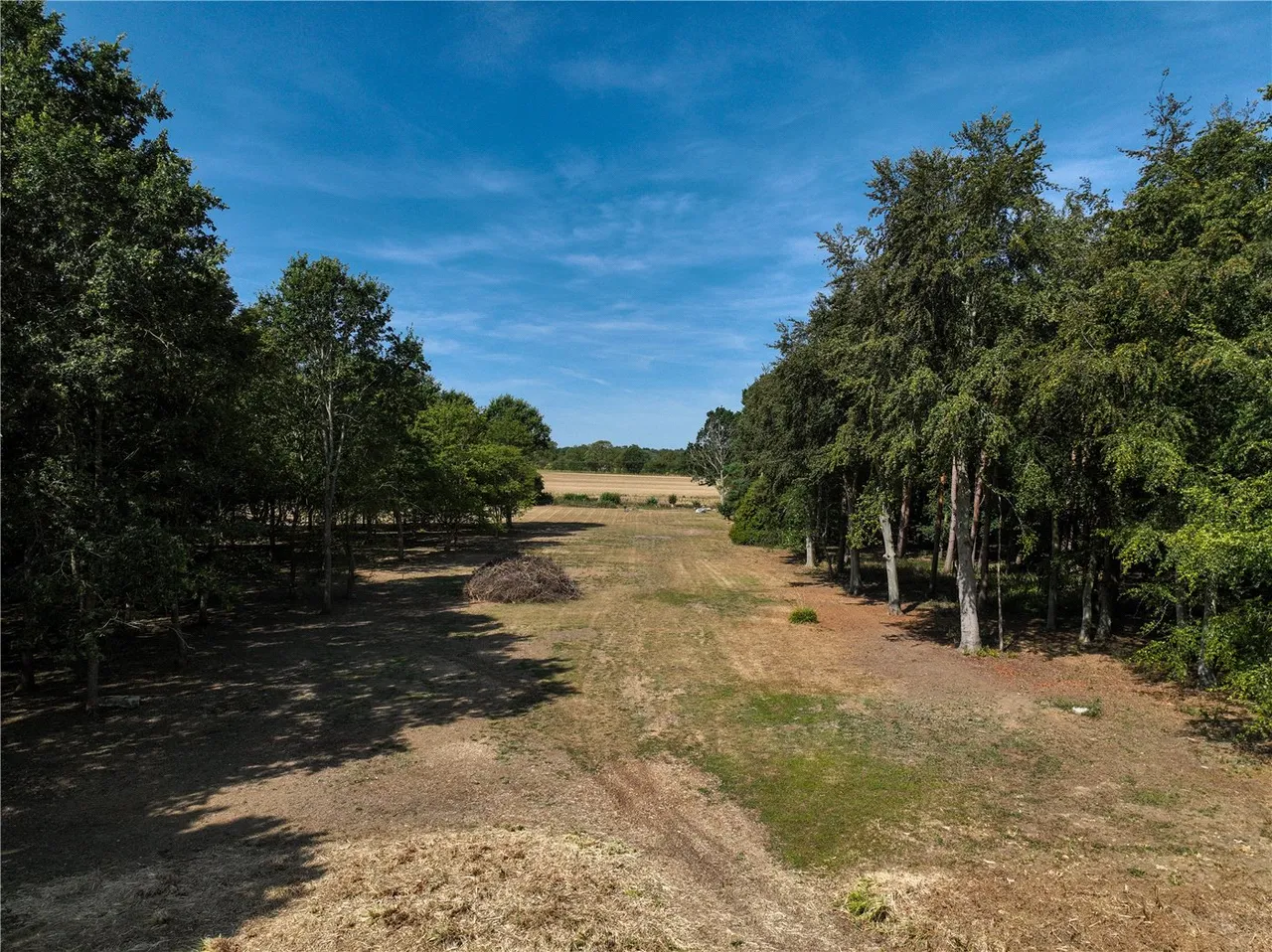 Slade Lane, Yelverton, Norwich, Norfolk, NR14, photo 10