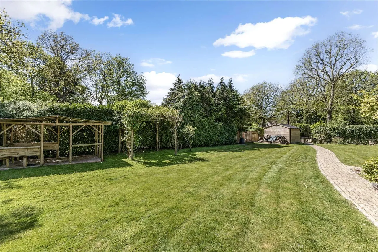 Durfold Wood, Plaistow, RH14, photo 11