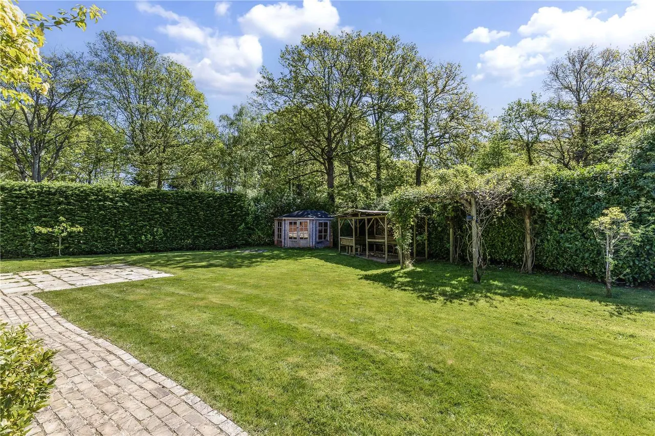 Durfold Wood, Plaistow, RH14, photo 19