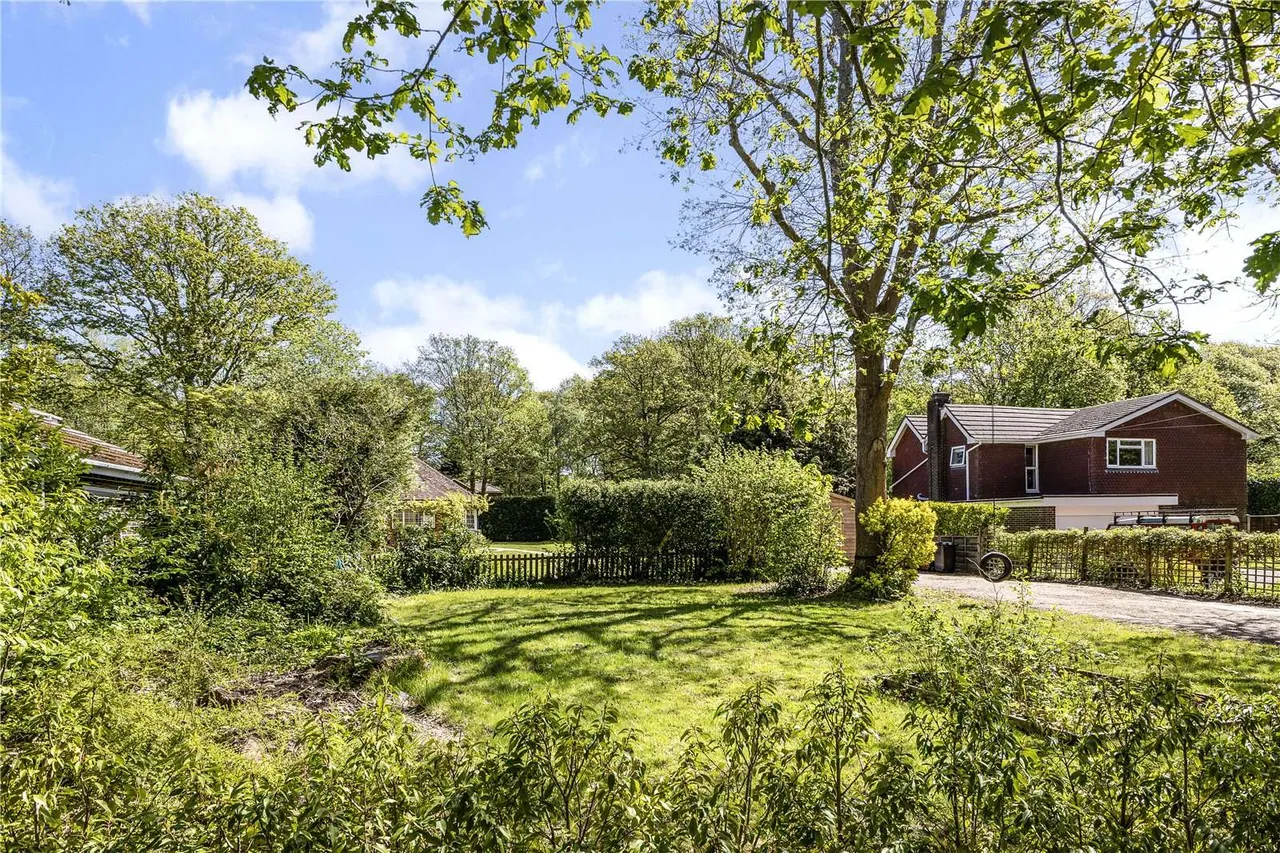 Durfold Wood, Plaistow, RH14, photo 12