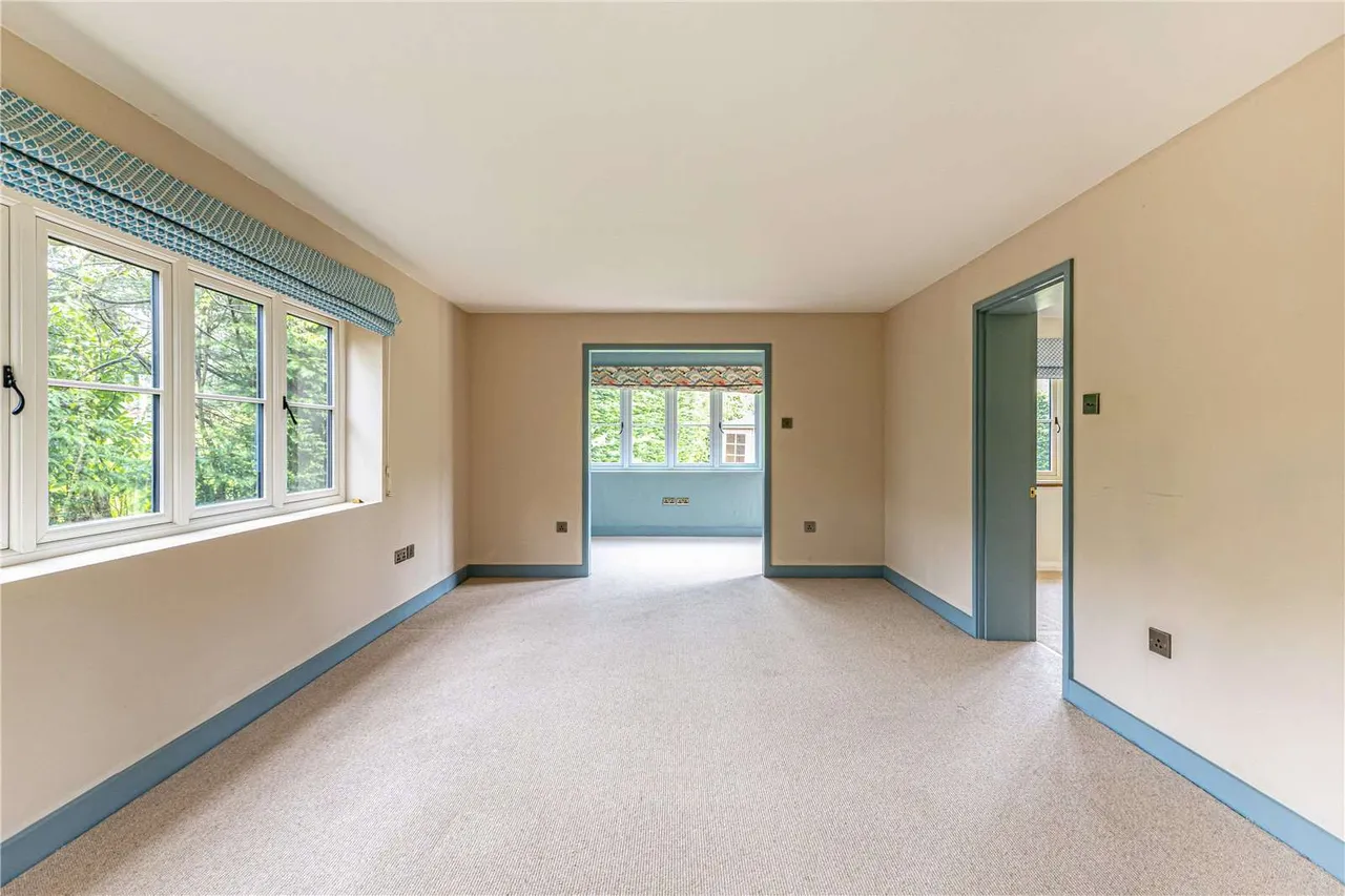 Durfold Wood, Plaistow, RH14, photo 7
