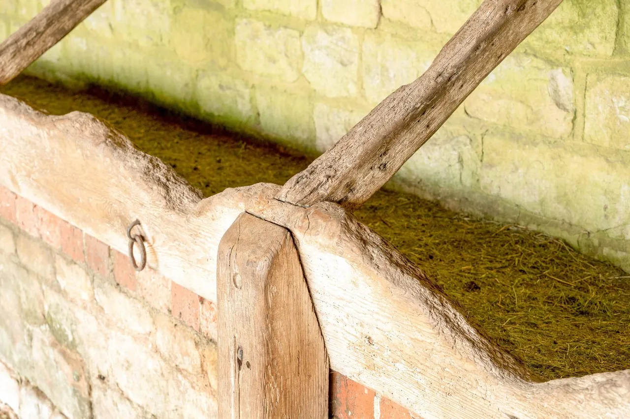 Chestnuts Farmyard, Sleaford, NG34, photo 15