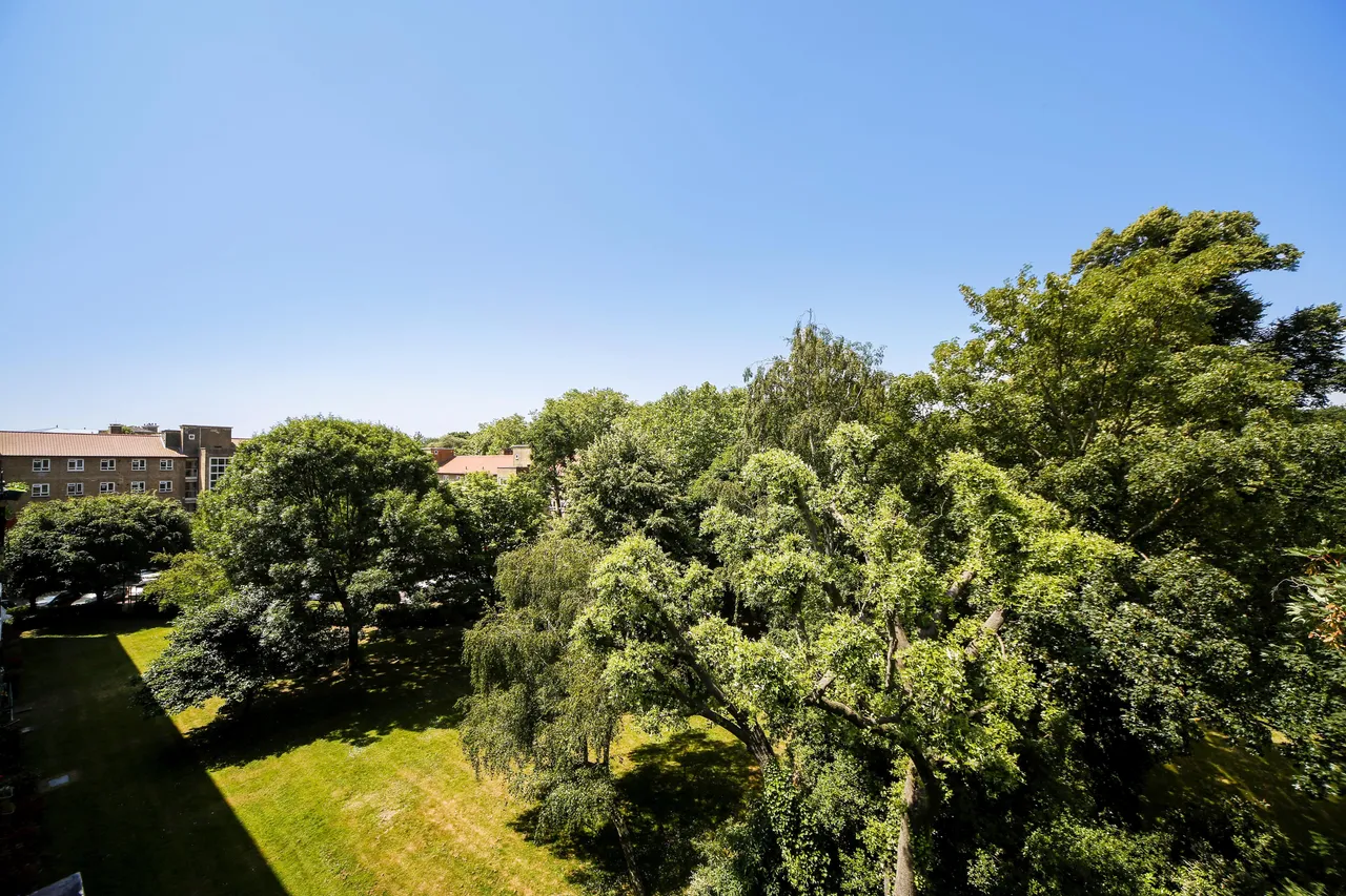 Esher Gardens, London, SW19, photo 6