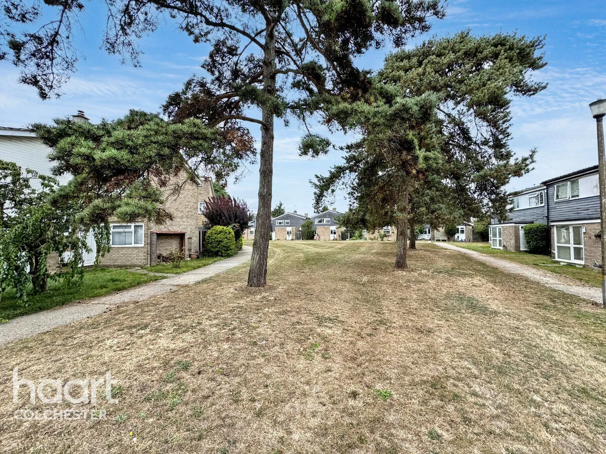Ley Field, Colchester, CO6, photo 25