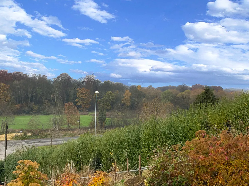 Newmillerdam, Wakefield, photo 2