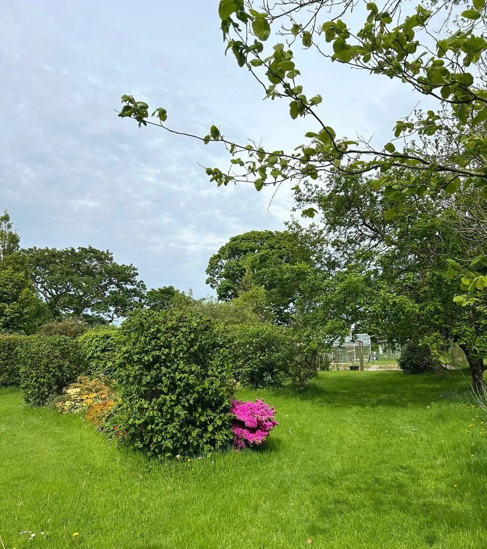Pontllyfni, Caernarfon, LL54, photo 24