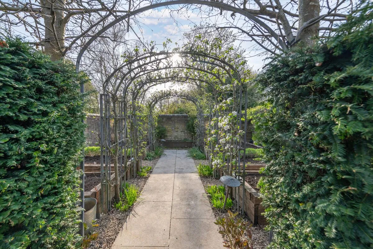 Belvoir Terrace, Cambridge, CB2, photo 20