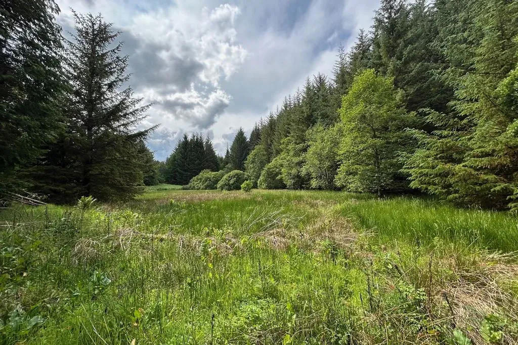 land for sale, Tyrebagger Road, Kirkton of Skene, AB21