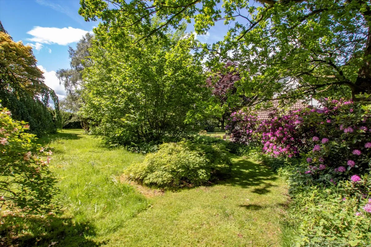 Comp Lane, Platt, TN15, photo 19