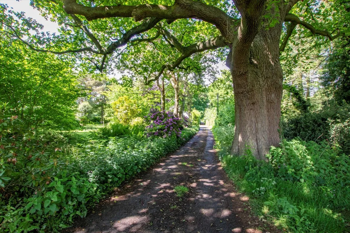 Comp Lane, Platt, TN15, photo 18