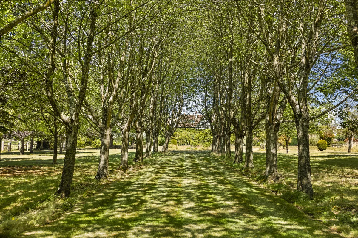 Maidenhead, SL6, photo 18