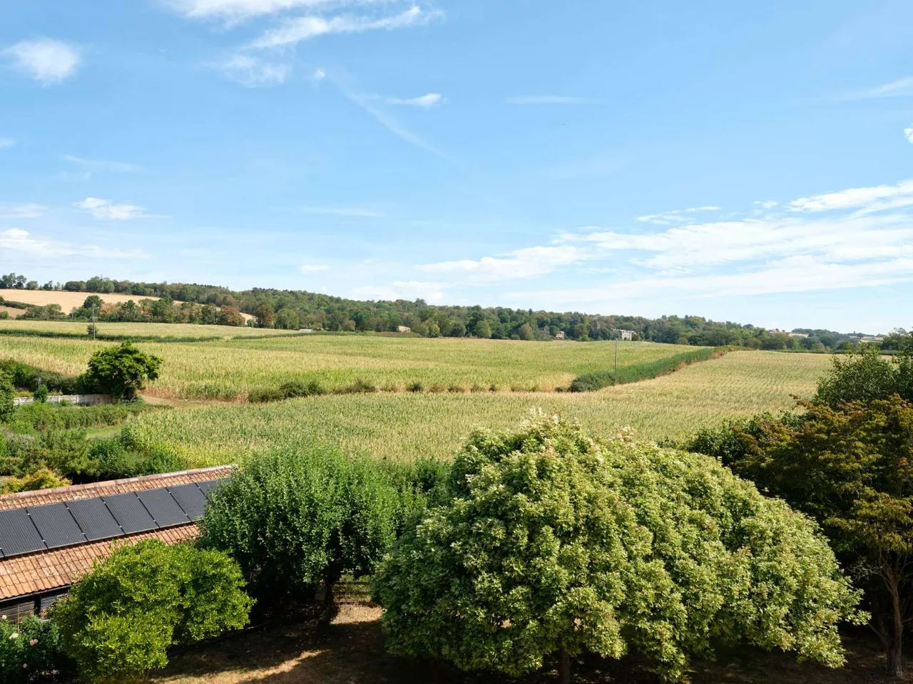 Cheddon Fitzpaine, Taunton, Somerset, TA2 8LB, photo 3
