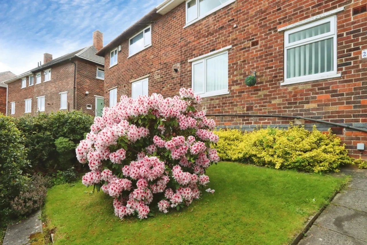 Dyke Vale Place, Sheffield, S12, photo 18