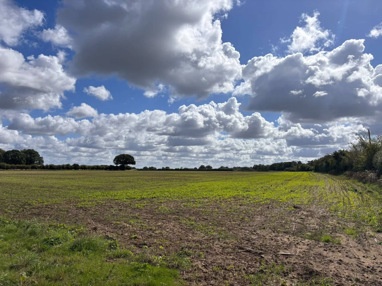 Watton Road, Stow Bedon, NR17, photo 9