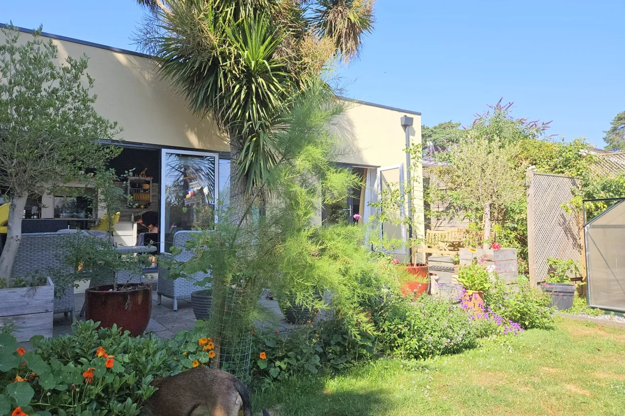 Pinewood Road, St. Ives, BH24, photo 32