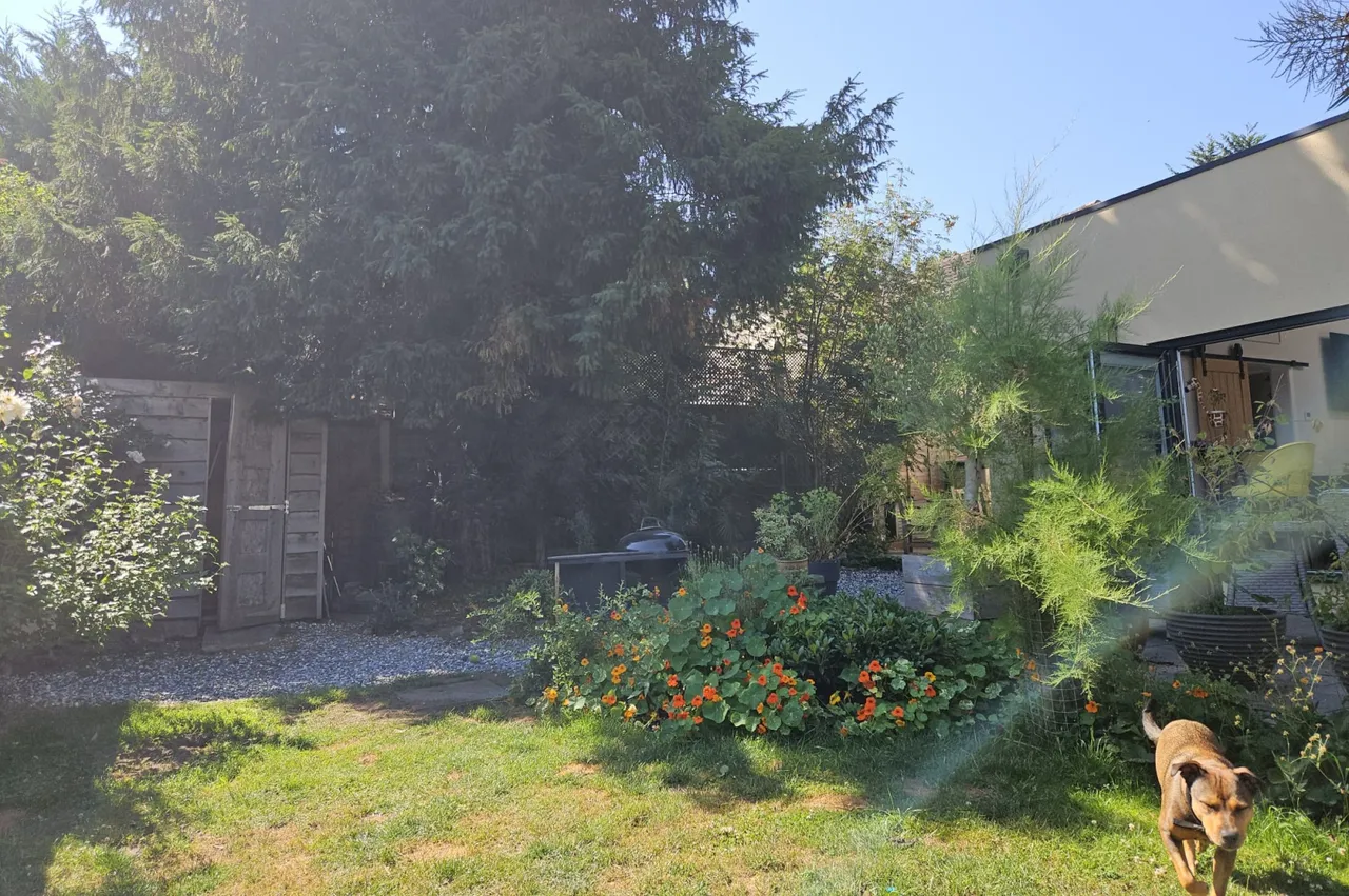 Pinewood Road, St. Ives, BH24, photo 31