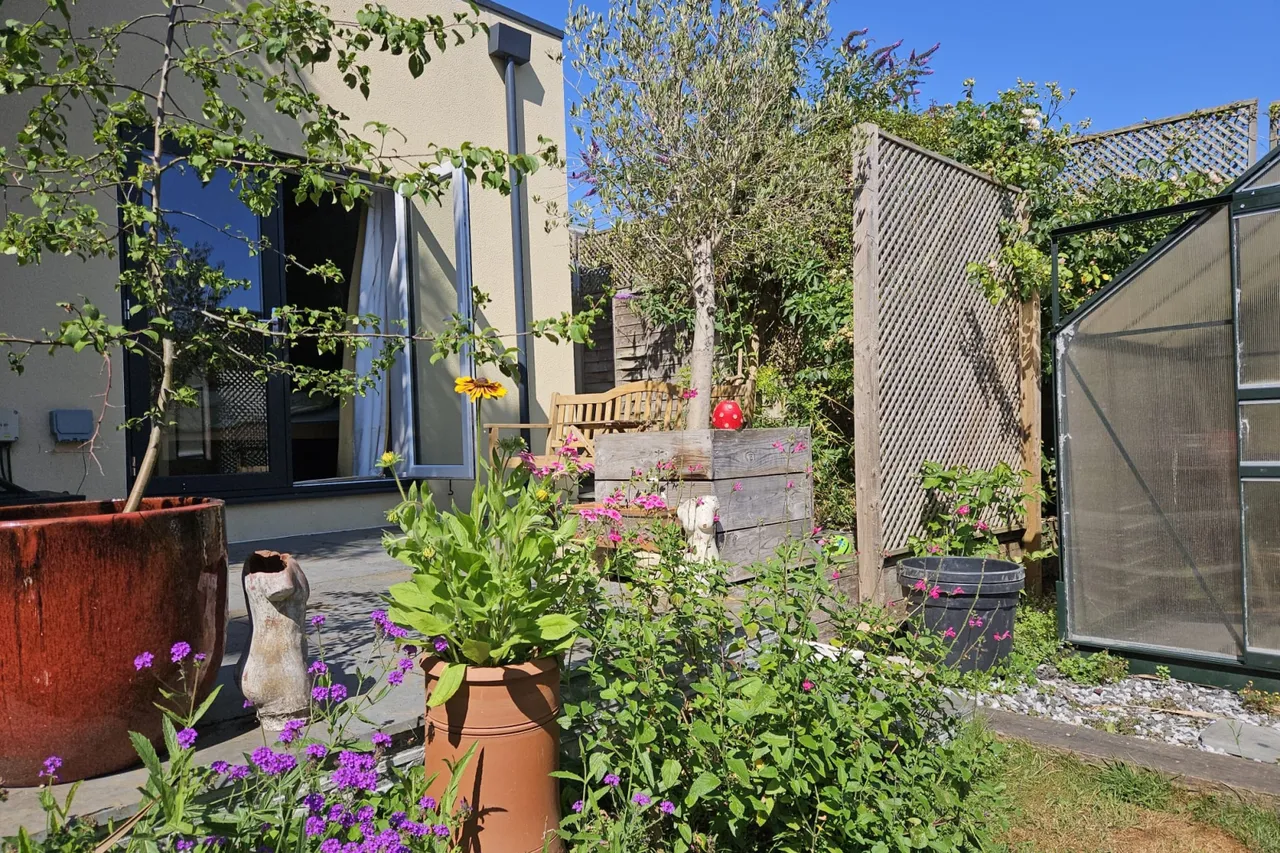 Pinewood Road, St. Ives, BH24, photo 27