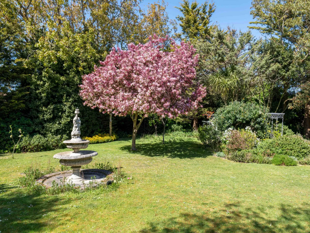 Fitzroy Avenue, CT10, photo 41