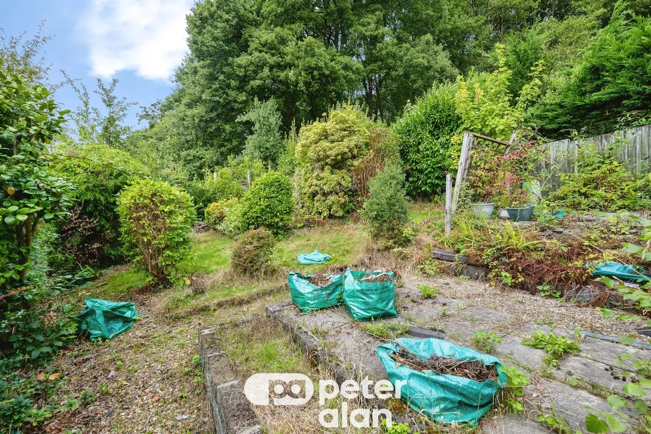 Bryn Catwg Neath, SA10, photo 14