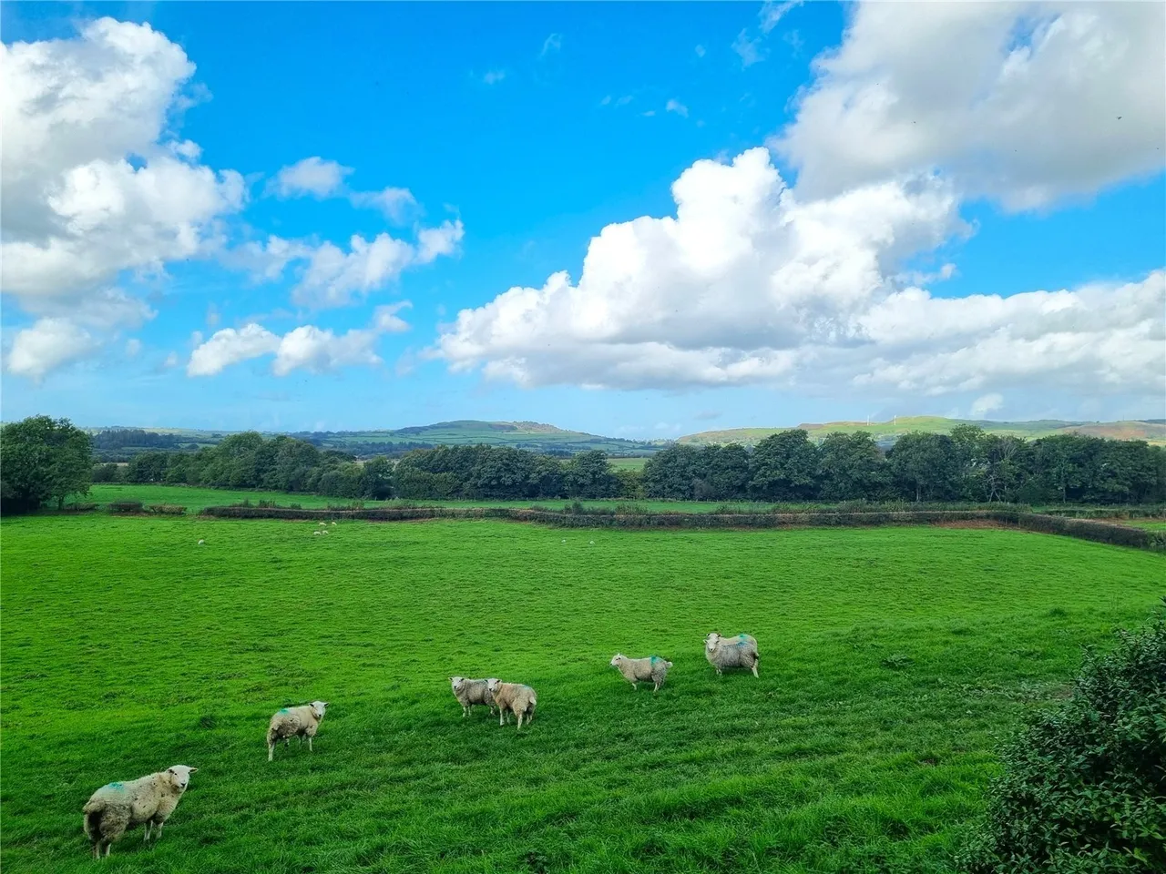 Pontrhydfendigaid, Ystrad Meurig, SY25, photo 21