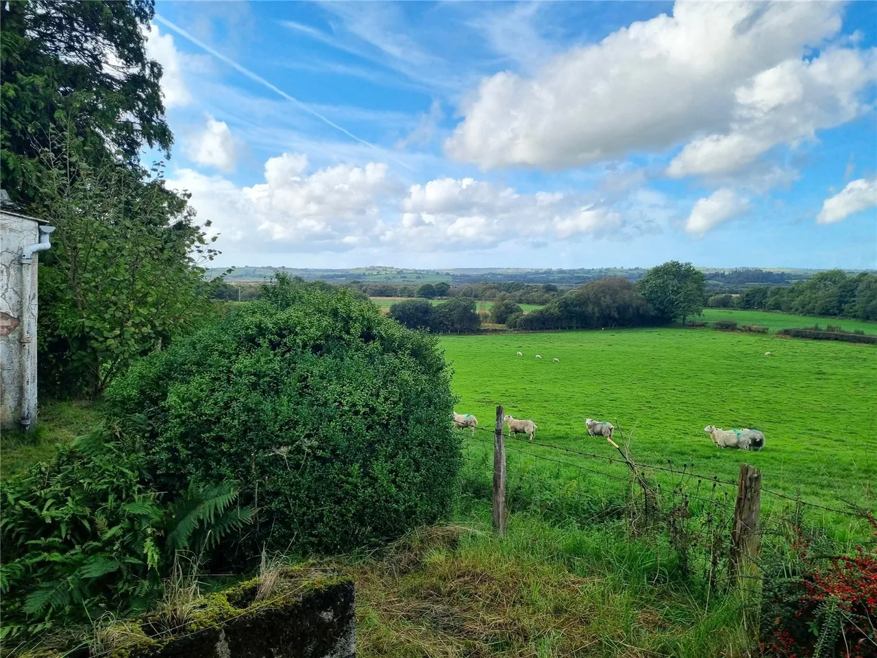Pontrhydfendigaid, Ystrad Meurig, SY25, photo 19
