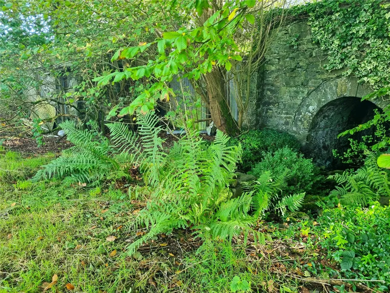 Pontrhydfendigaid, Ystrad Meurig, SY25, photo 18