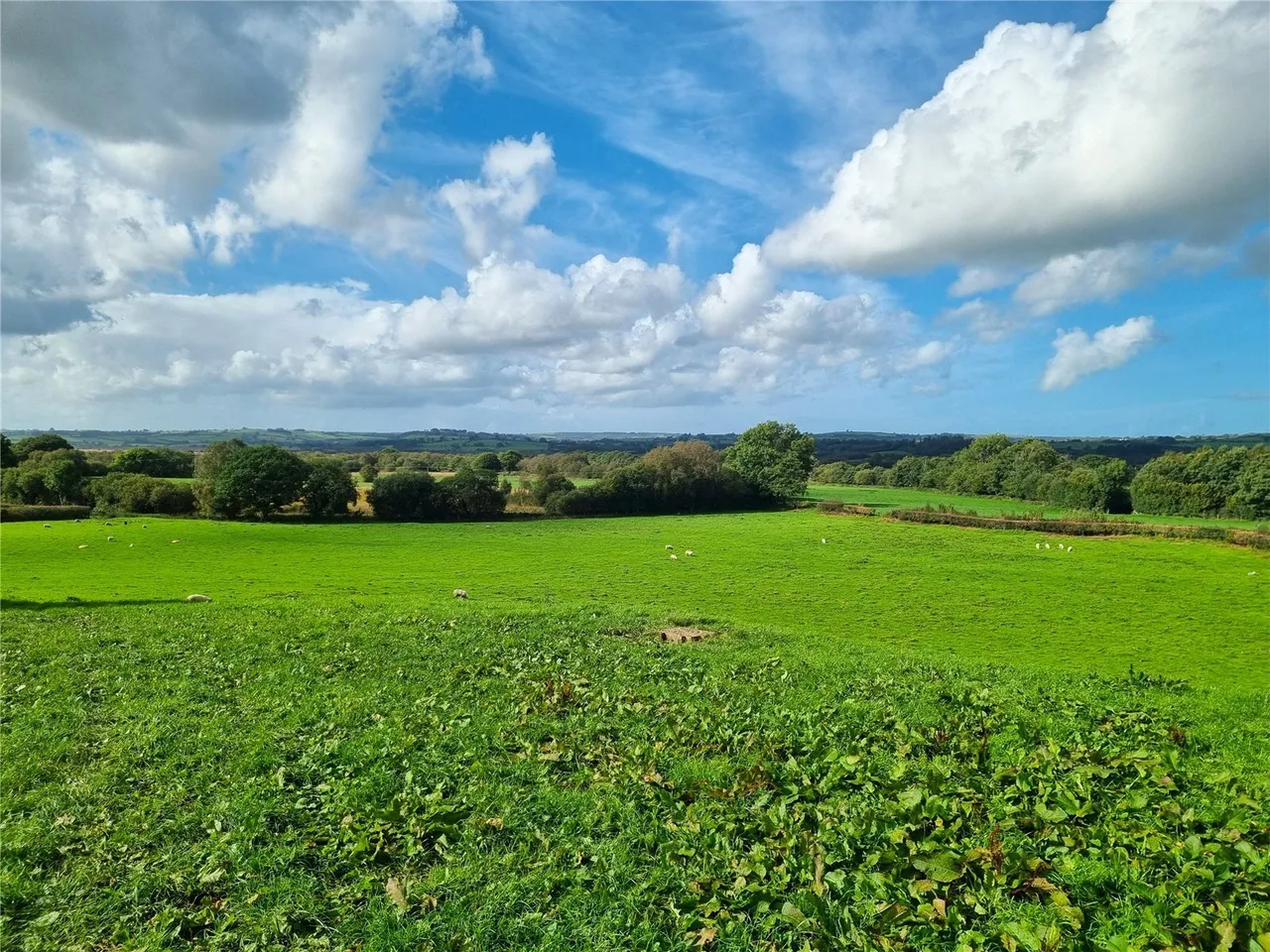 Pontrhydfendigaid, Ystrad Meurig, SY25, photo 20