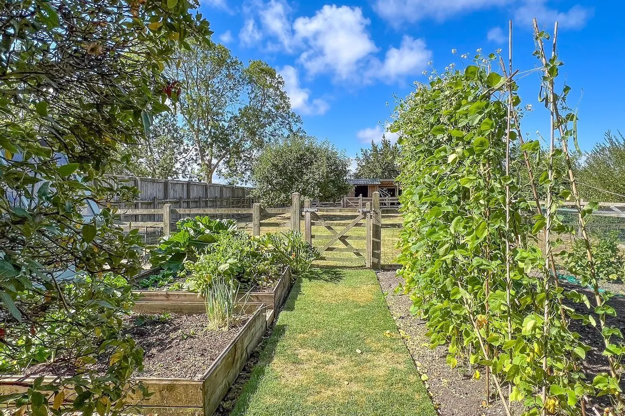 Brent Street, Brent Knoll, TA9, photo 20
