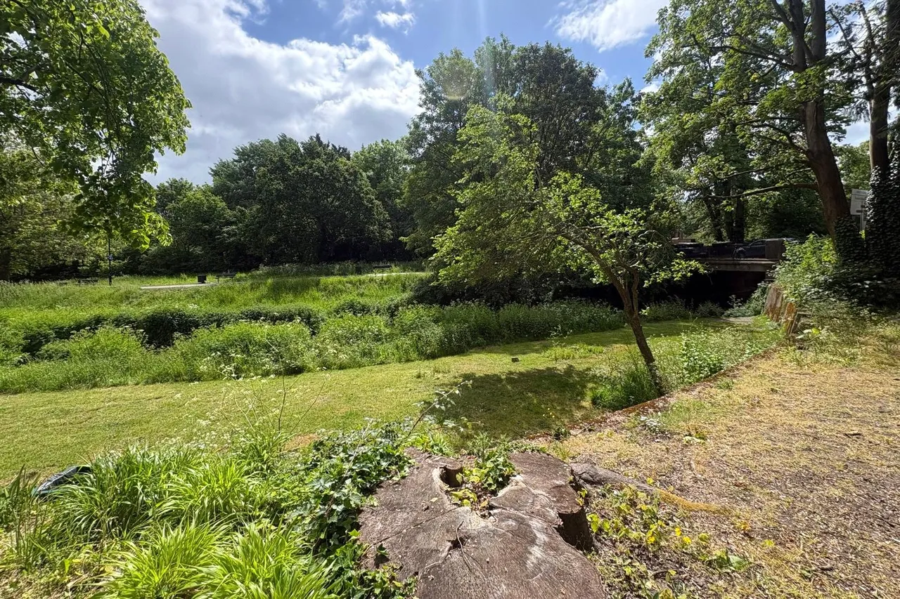 South Street, Farnham, Surrey, GU9 7RU, photo 8
