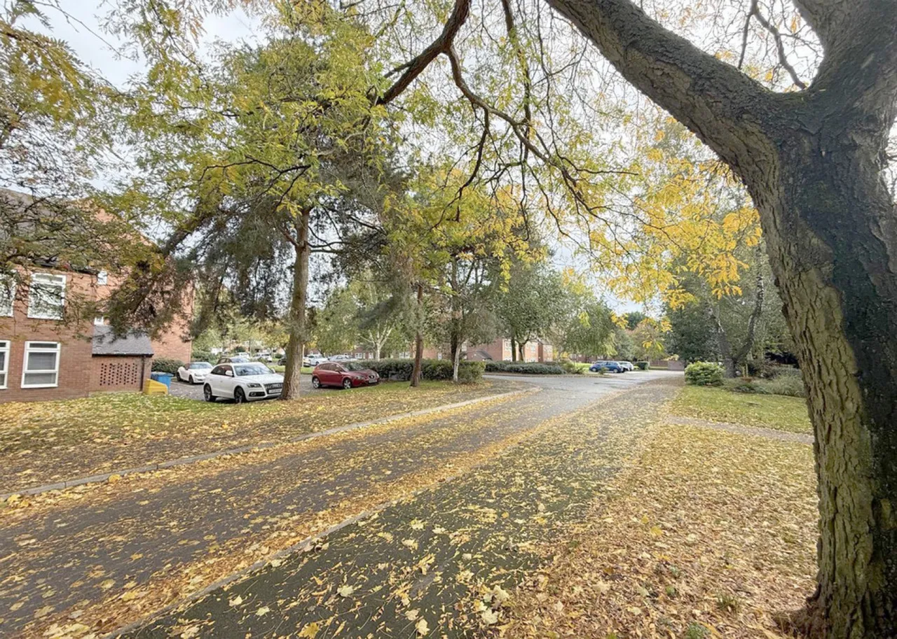Pailton Road, Shirley, photo 10