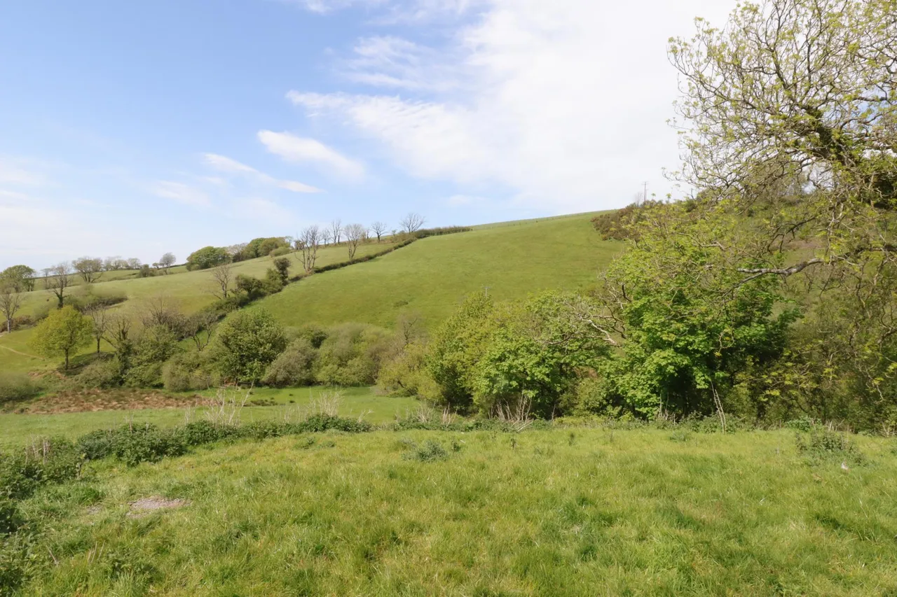 Cwmfelin Boeth, Whitland, SA34, photo 23