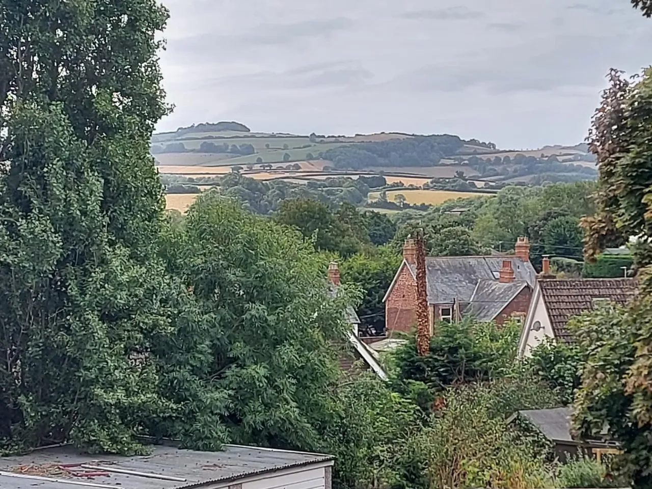 Verdun Terrace, Washford, TA23, photo 13
