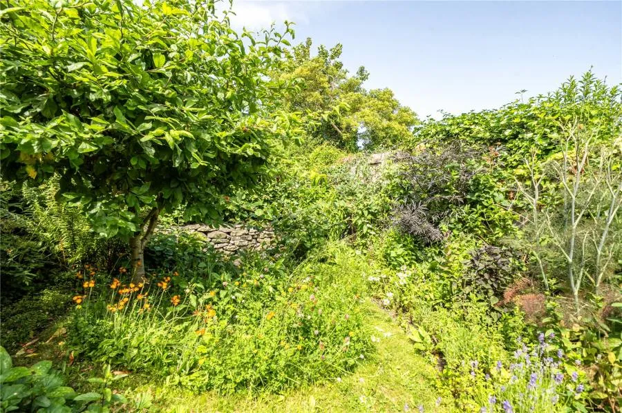 Spring Gardens, Builth Wells, LD2, photo 17