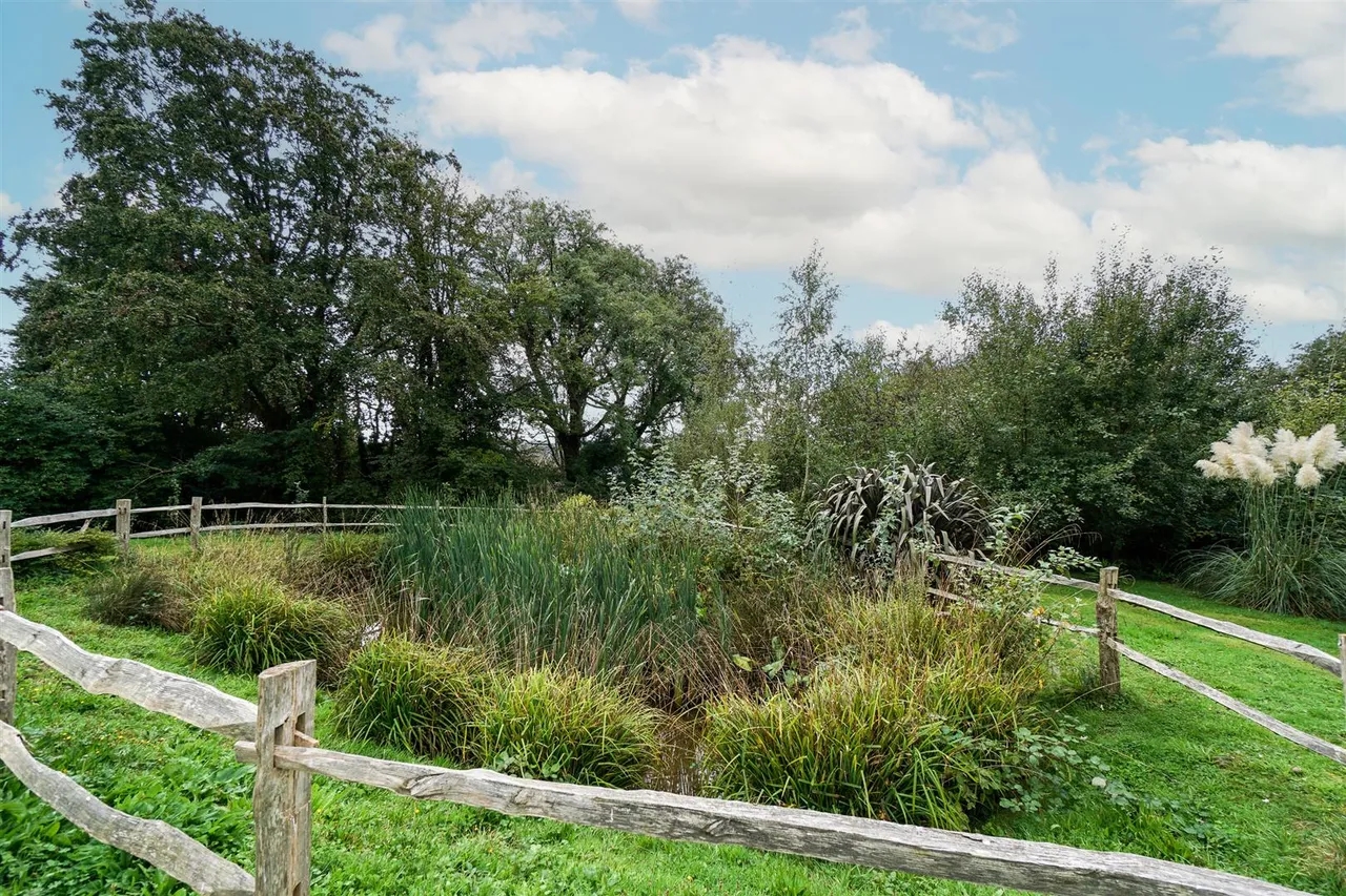Whistler Close, Hastings, photo 34