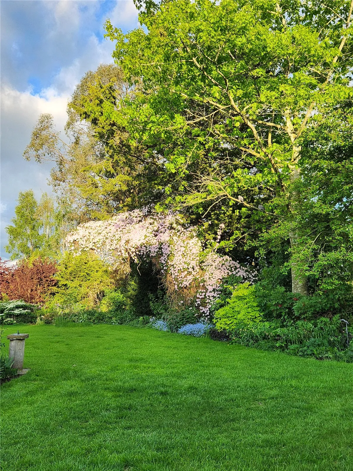 Kingsland, Leominster, photo 23
