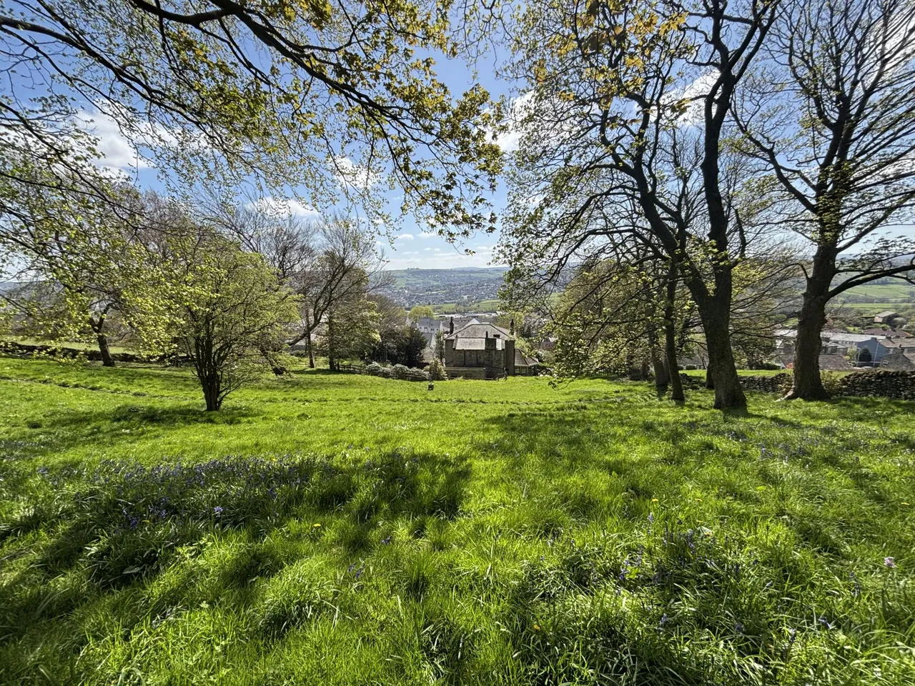 Braithwaite Road, Keighley, BD22, photo 22